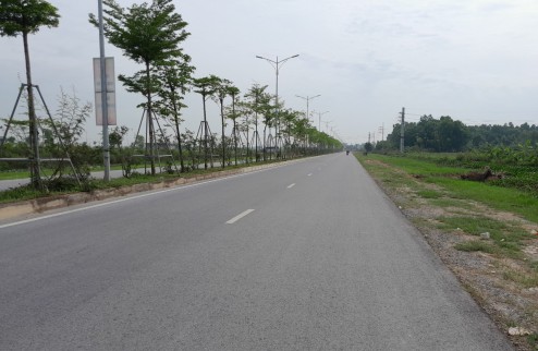 Bán đất đấu giá Thanh Lâm, Mê Linh, đối diện HUD Mê Linh Central, DT88m2 nhỉnh 3 tỷ.